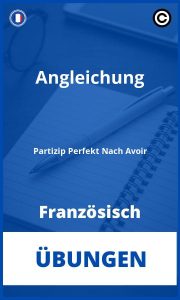 Übungen Französisch Angleichung Partizip Perfekt Nach Avoir PDF