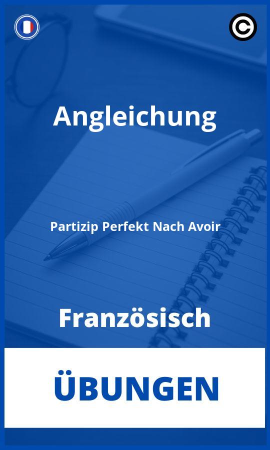 Französisch Angleichung Partizip Perfekt Nach Avoir Übungen PDF