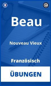 Übungen Französisch Beau Nouveau Vieux PDF