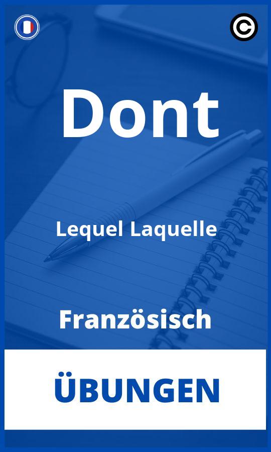 Französisch Dont Lequel Laquelle Übungen PDF