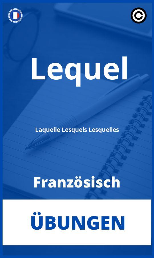 Französisch Lequel Laquelle Lesquels Lesquelles Übungen mit Lösungen PDF