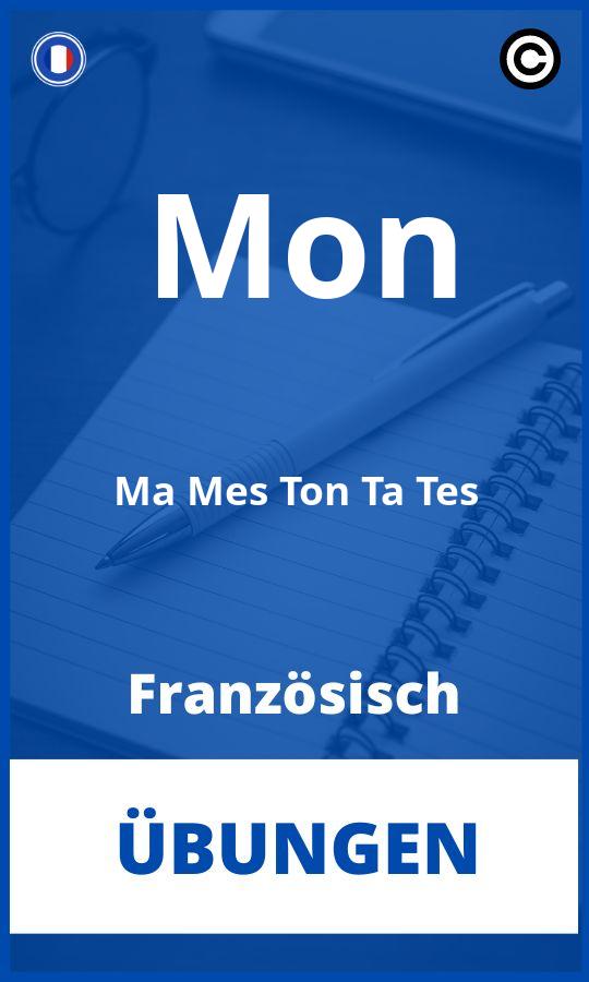 Mon Ma Mes Ton Ta Tes Französisch Übungen mit Lösungen PDF