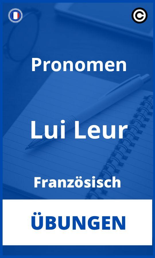 Pronomen Lui Leur Französisch Übungen mit Lösungen PDF