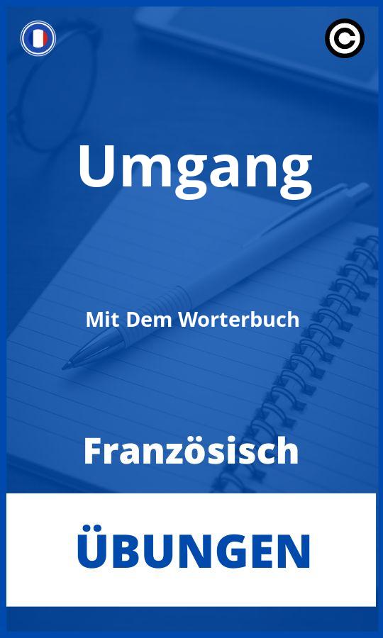 Französisch Umgang Mit Dem Wörterbuch Übungen mit Lösungen PDF